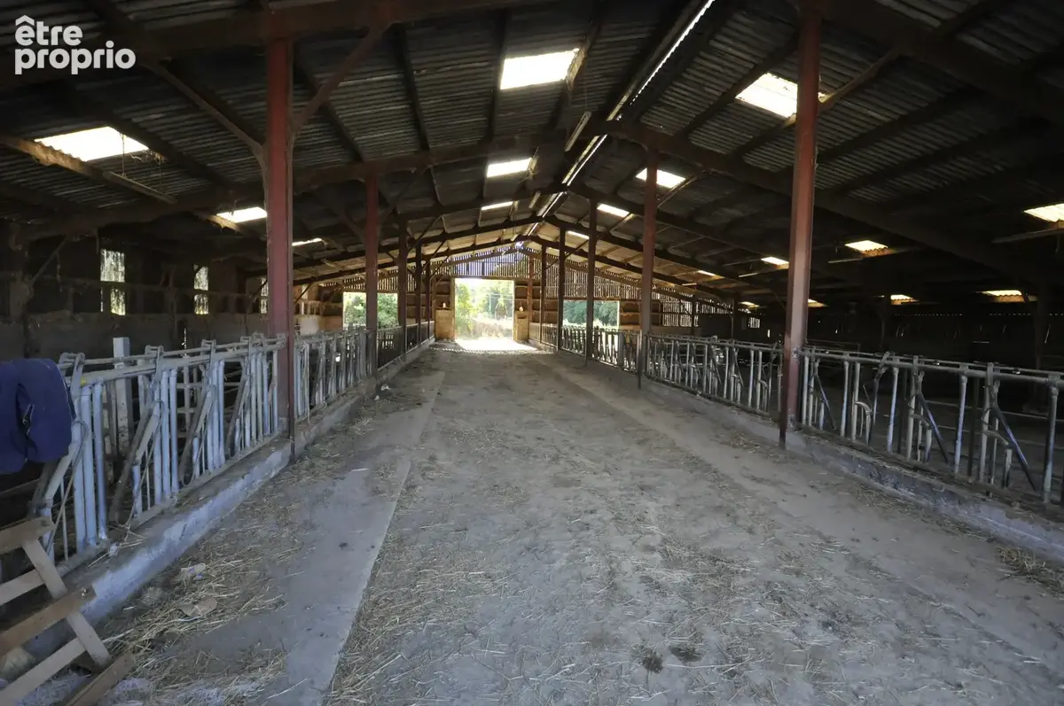 Corps de Ferme - photo 25