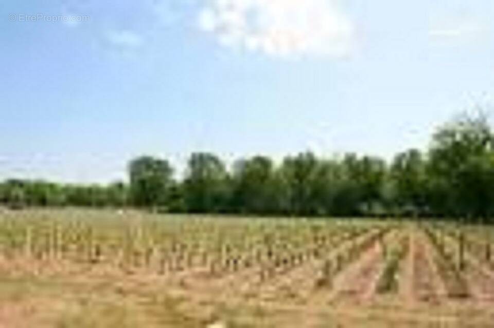 Terrain à CERONS