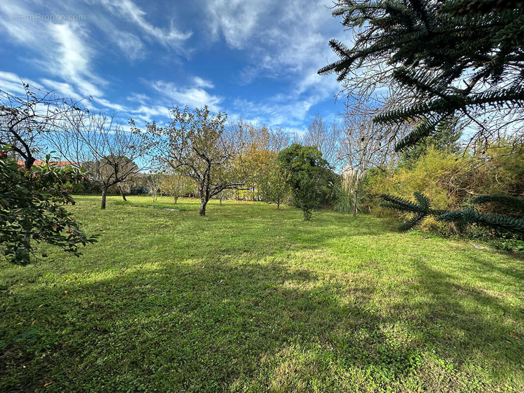 Maison à SAINT-JUST-LUZAC