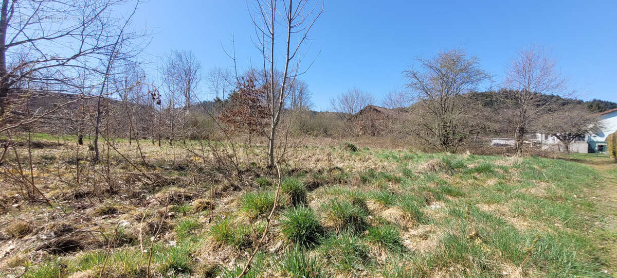 Terrain constructible - photo 4