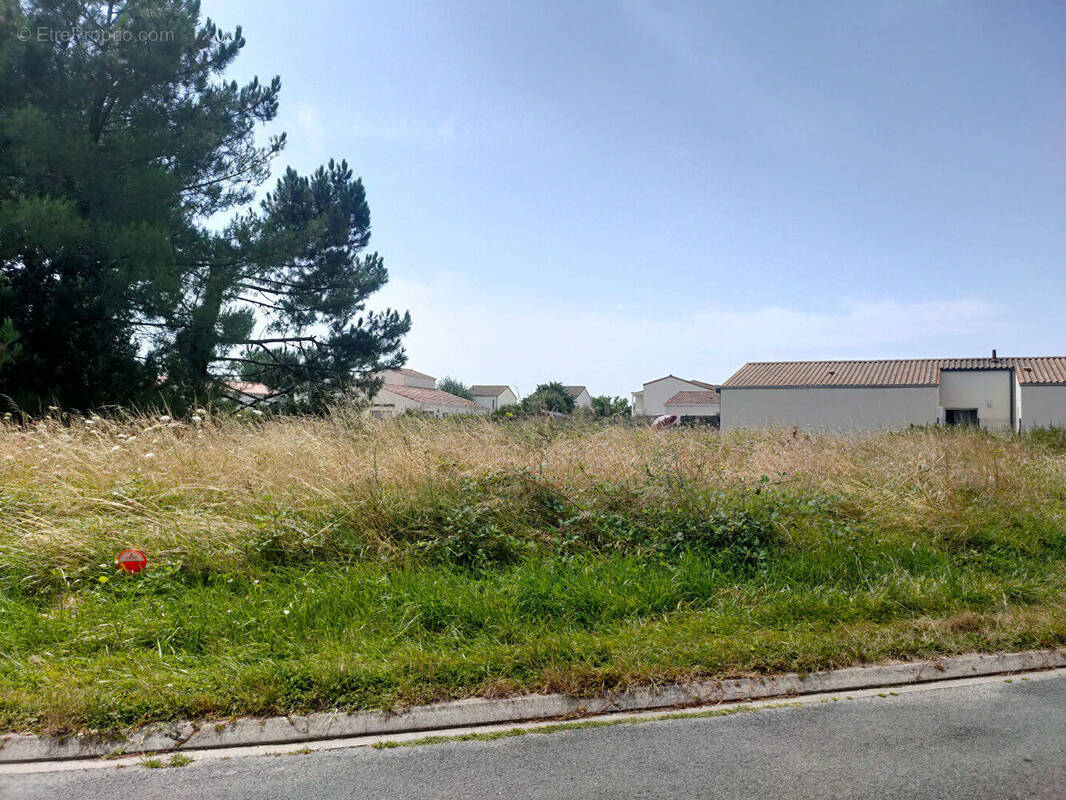 Terrain à ETAULES
