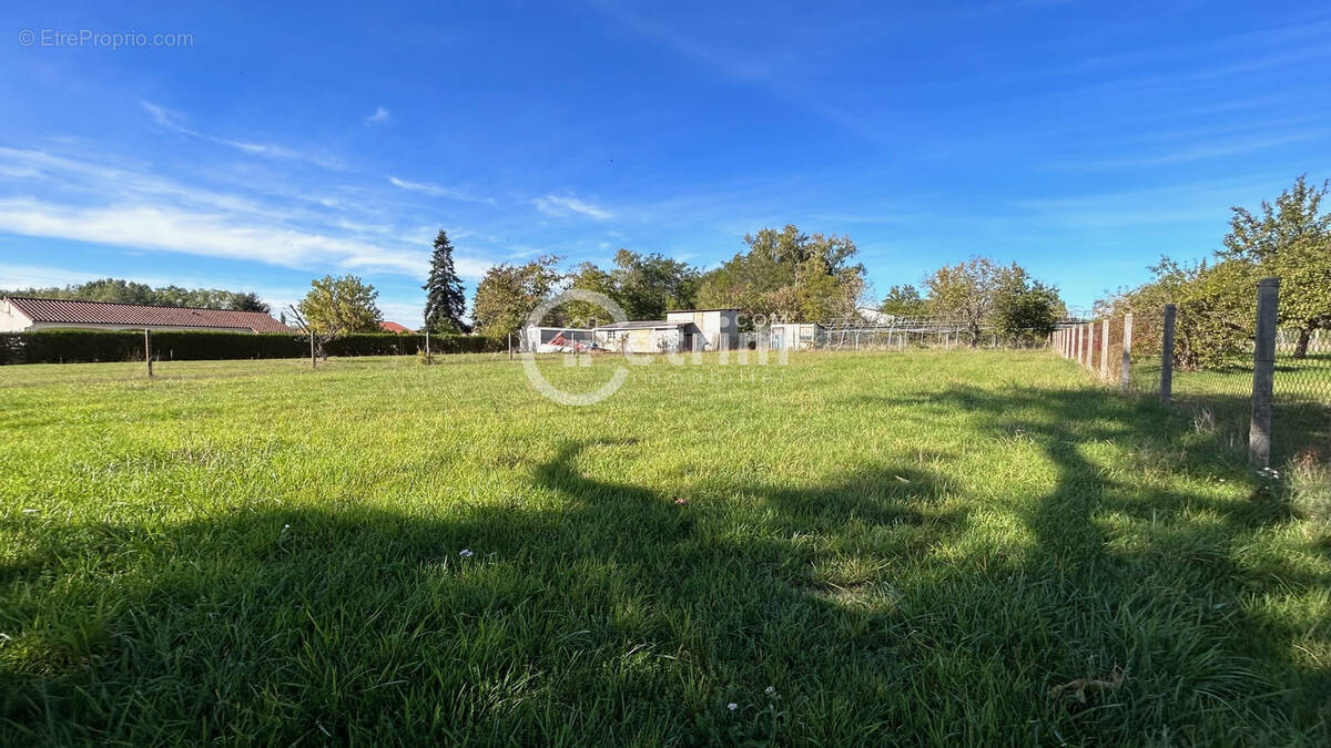 Terrain à LEZOUX