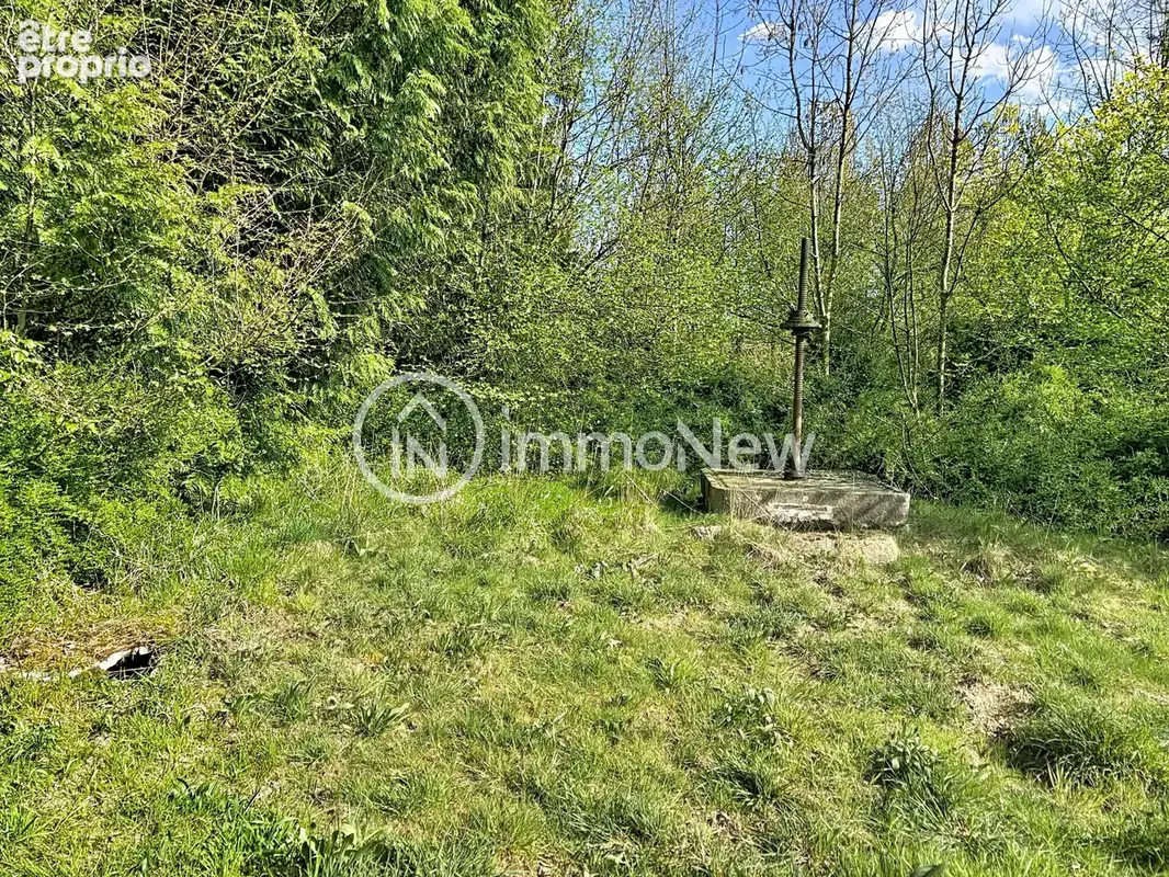 Longere 150 m2 au sol a renover sur terrain 3000 m2 environ apres bornage - photo 11