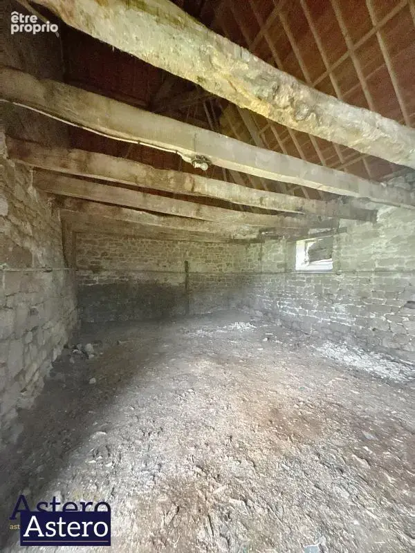 Manoir du xviéme-20 minutes de pontivy-2 hectares - photo 8