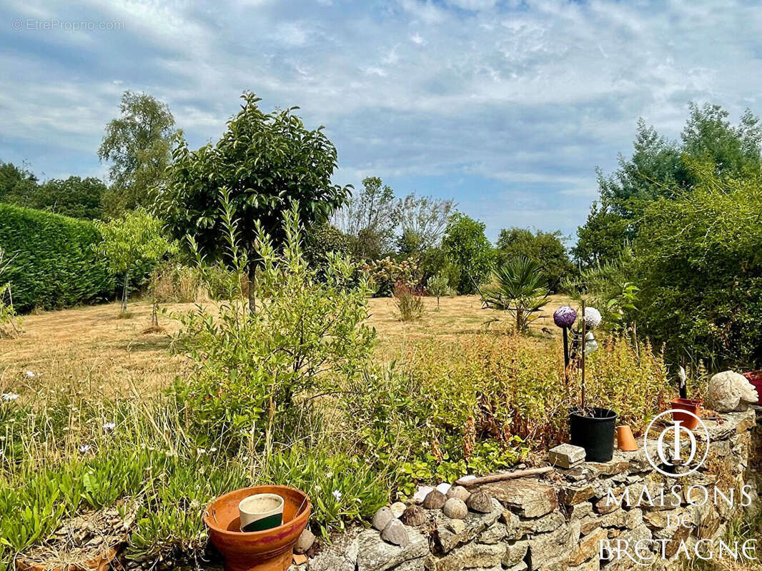 Longère et hangar à Bannalec sur 2 986 m² de terrain - photo 13