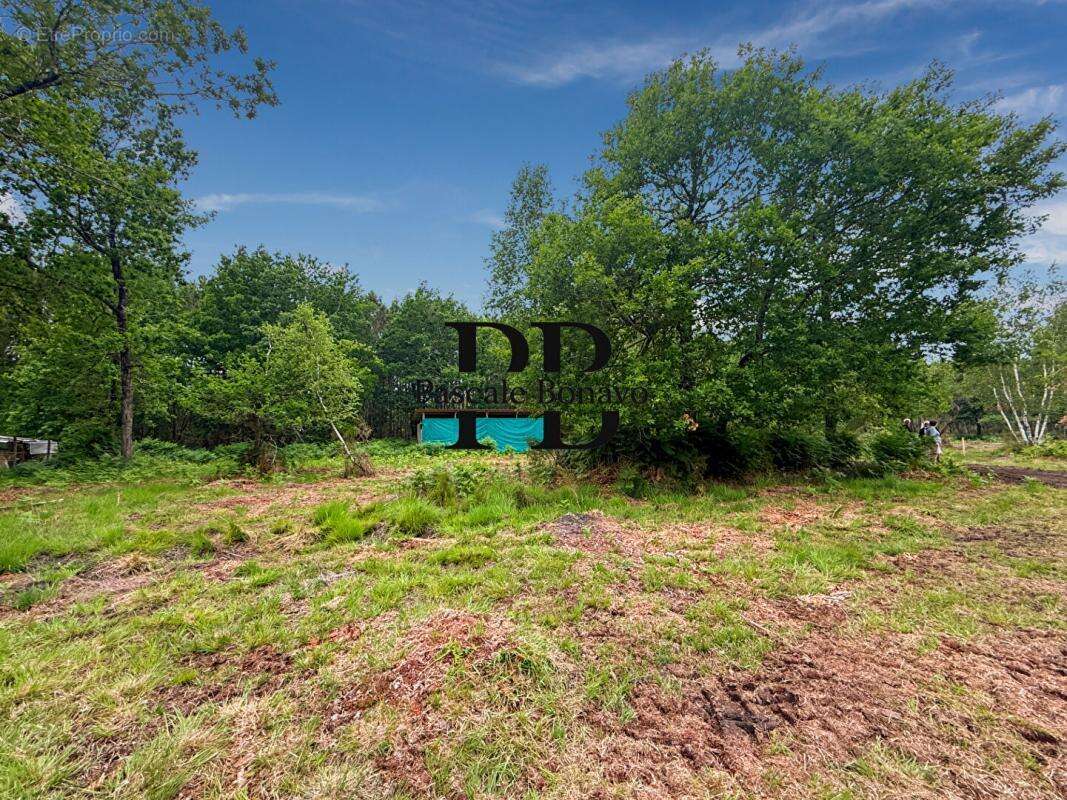 Terrain à VENDAYS-MONTALIVET