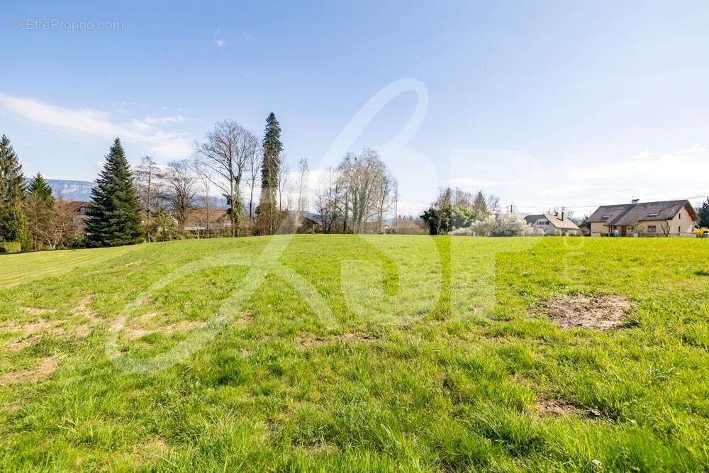 Terrain viabilisé (Lot 6) - Terrain à SAINT-JEAN-D'AVELANNE