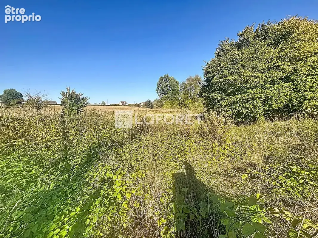 Axe falaise - trun - photo 3