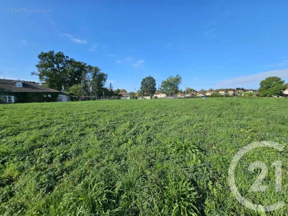Terrain 1352 m² à Galan  - photo 4