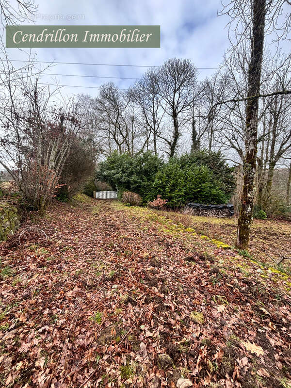 Maison à SAINT-MARTIN-CHATEAU