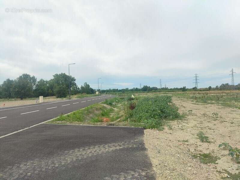 Terrain 5000 m² à Muret  - photo 23