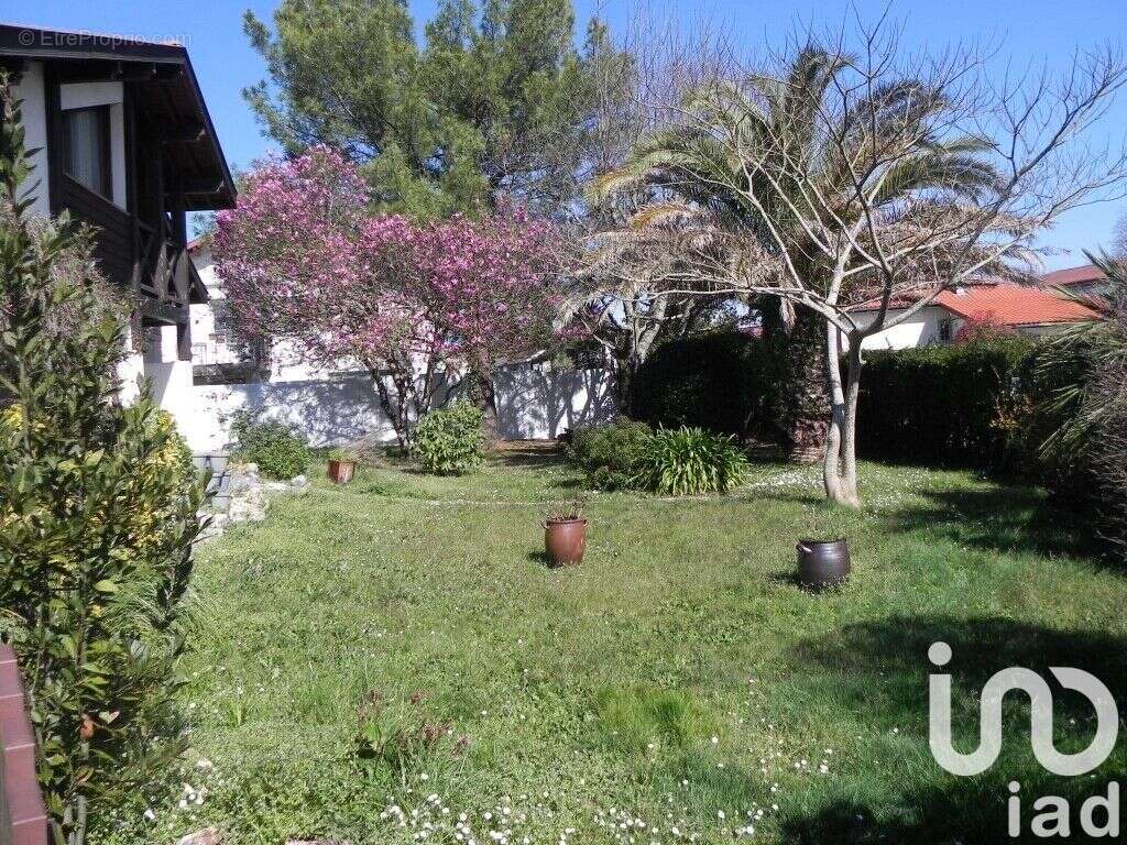 Photo 8 - Maison à SAINT-VINCENT-DE-TYROSSE