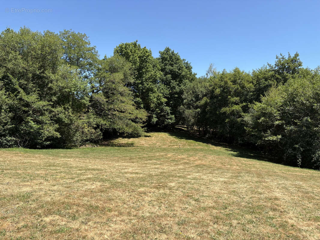 Coussac Bonneval Propriété exceptionnelle avec etang et 2.86 hecatres sans voisinage proche - photo 39