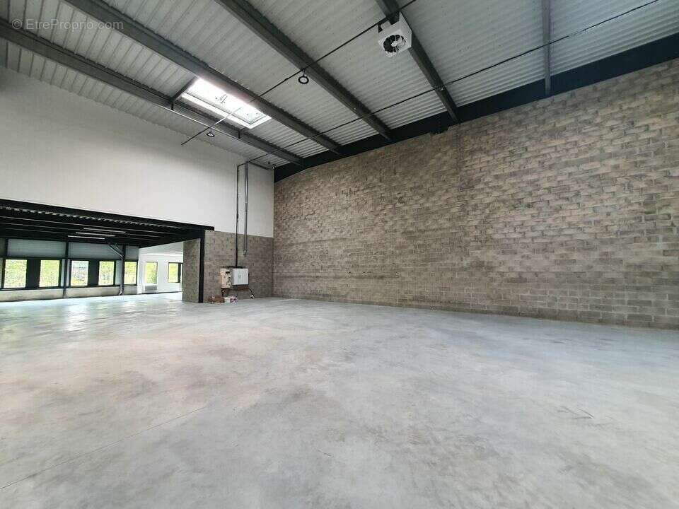649 m² à Bailly-Romainvilliers  - photo 2