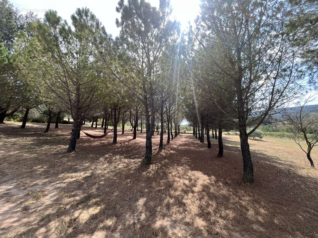 Maison à FONTIES-D'AUDE