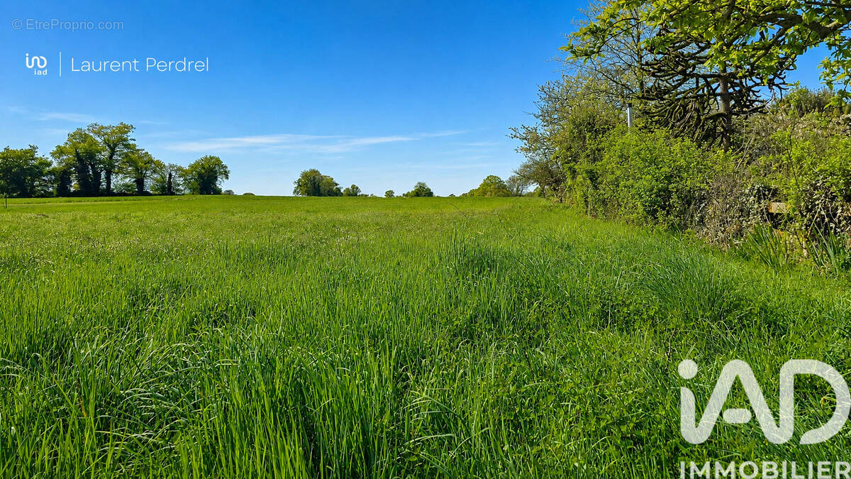 Photo 1 - Terrain à ALLAIRE