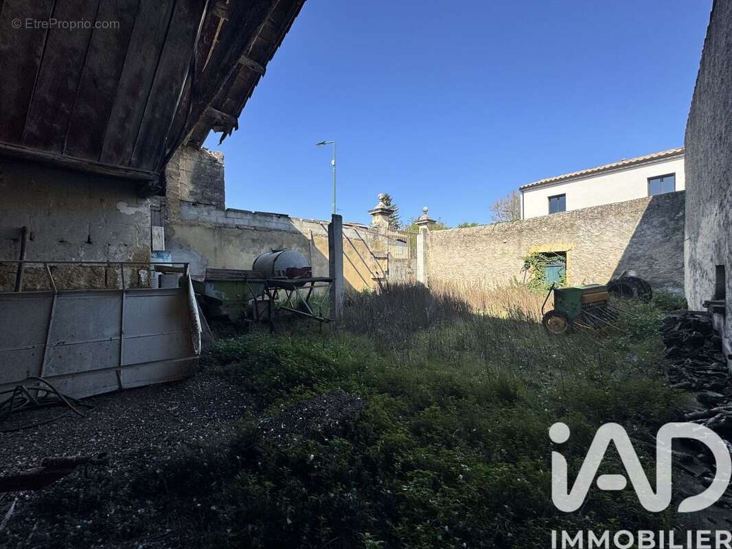 Photo 5 - Terrain à BEZOUCE