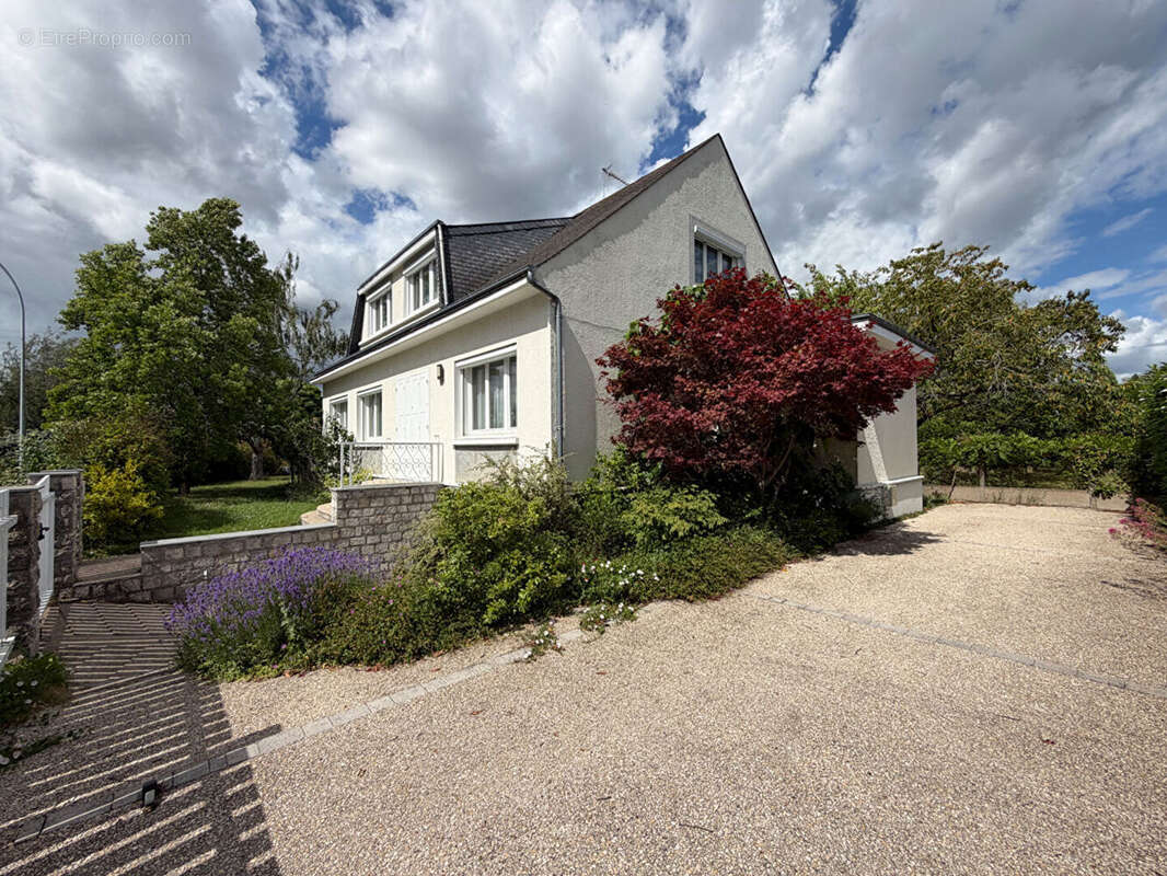 Maison  Olivet Bourg - photo 2