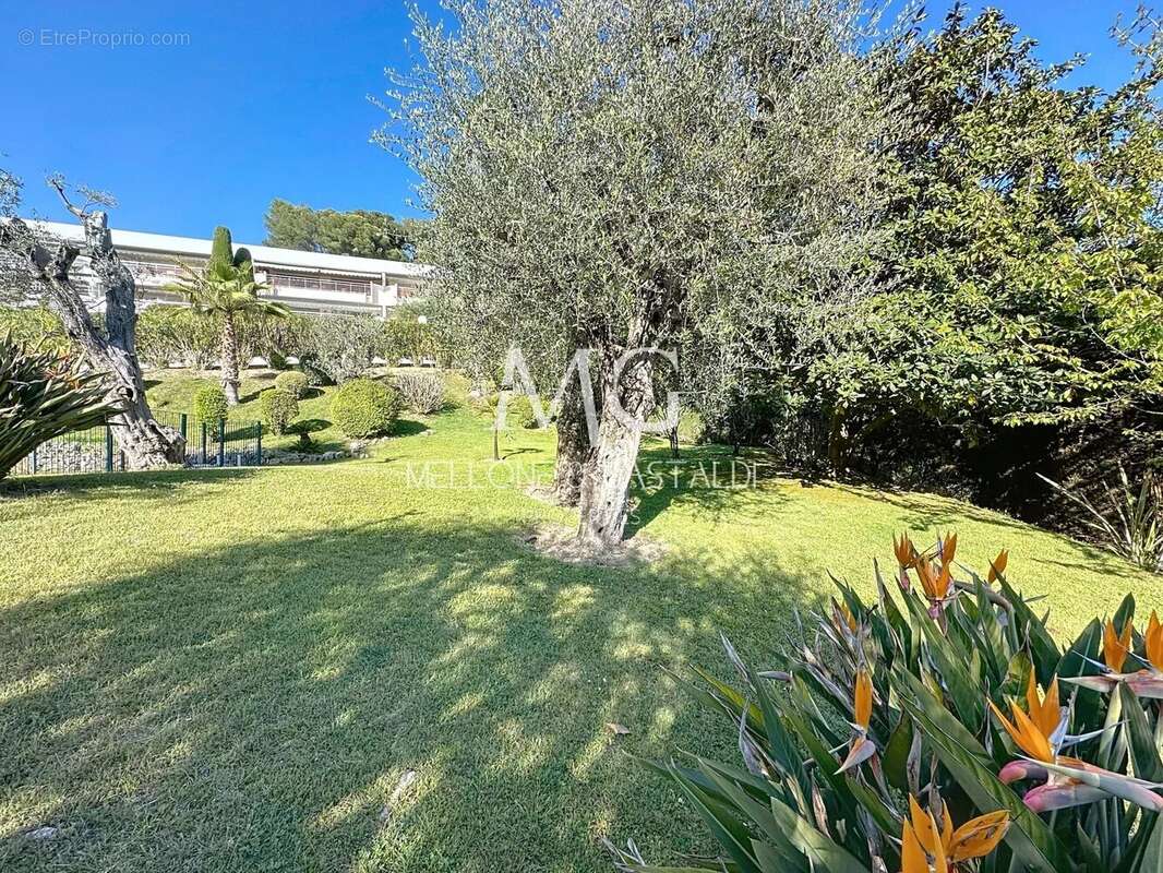 Appartement à LE CANNET