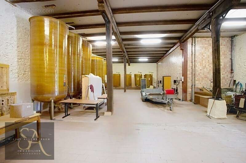 Commerce à RAISSAC-D'AUDE