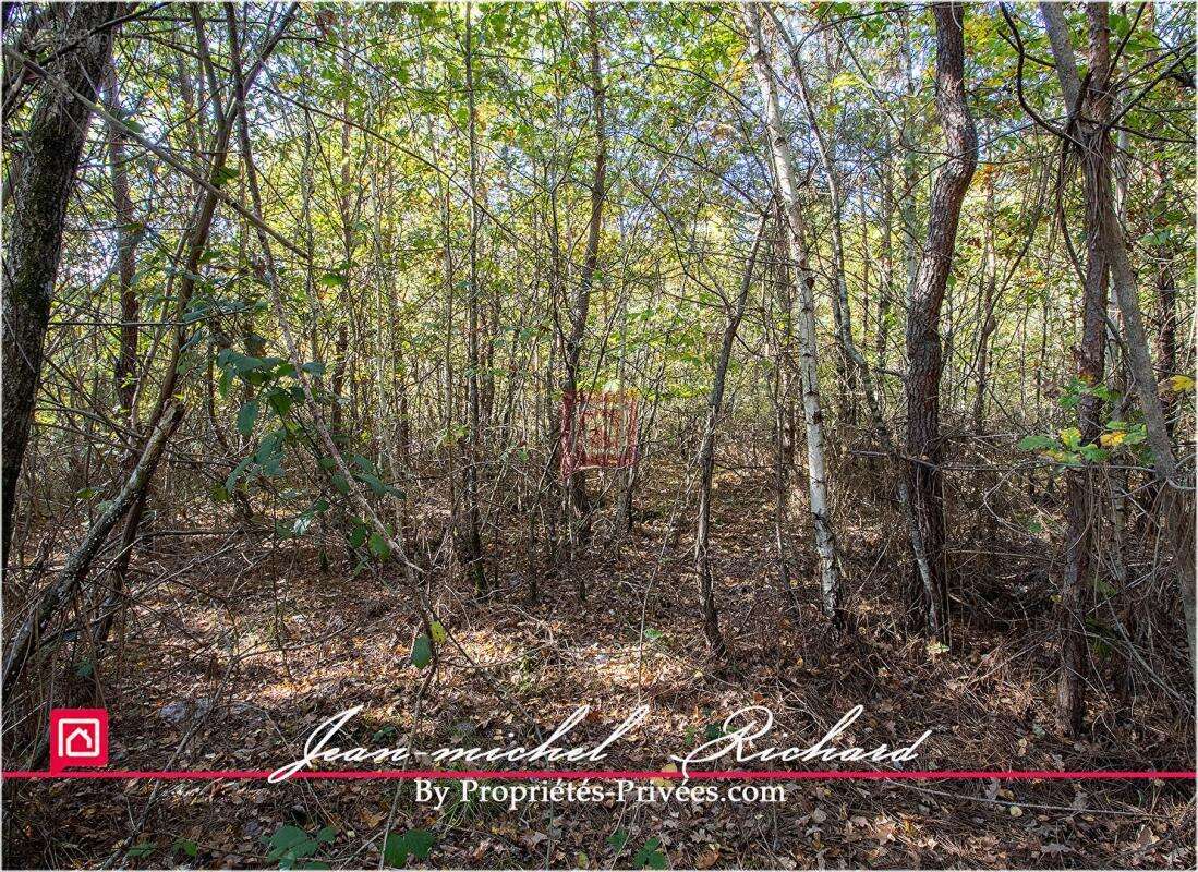 Terrain à GY-EN-SOLOGNE