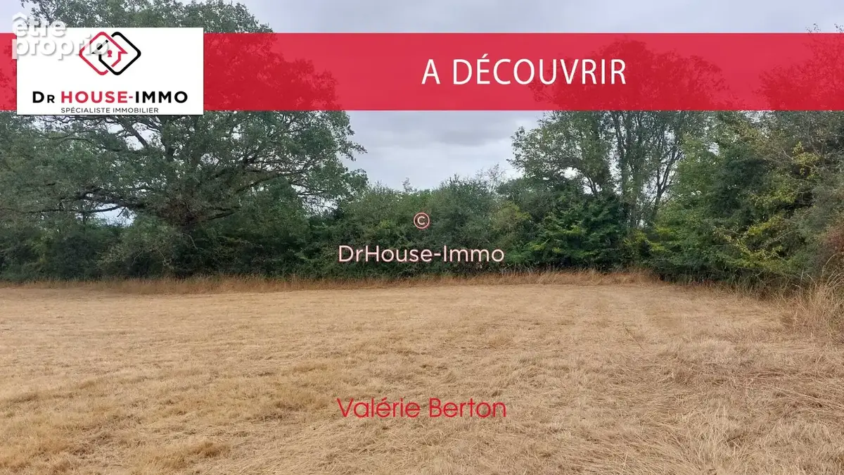 Terrain 4 920 m² à vendre à Bouesse (36200) - photo 7