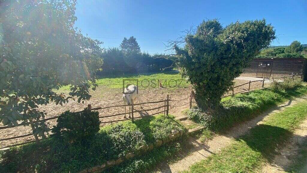 Authentique, maison en pierre avec gîte indépendant - photo 18