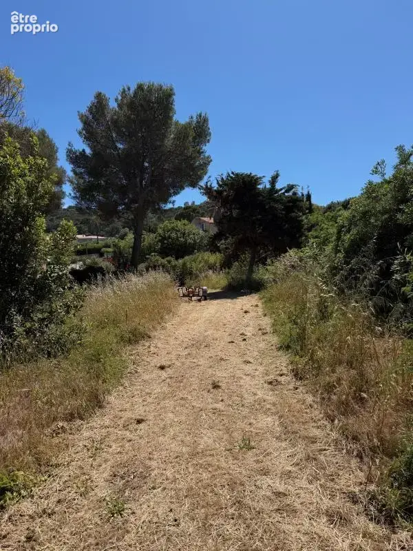 Photo Terrain à Hyeres au prix de 800 000€