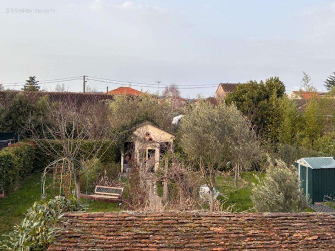 Maison à ALBI