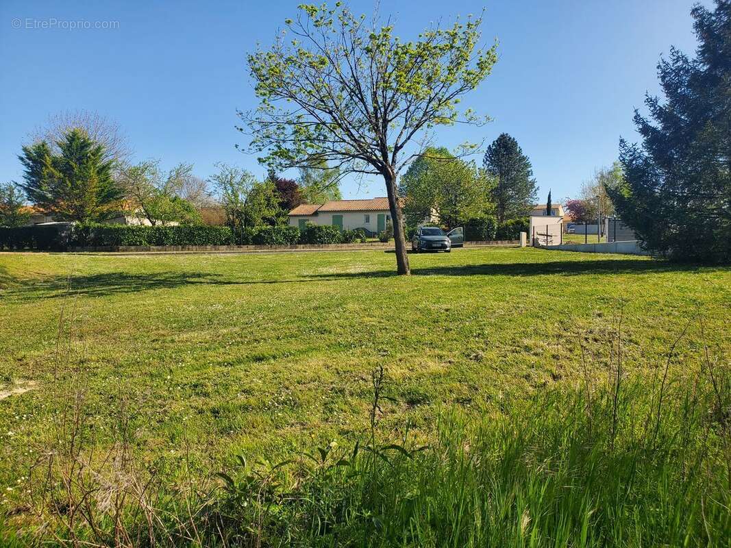 Terrain à CHAMPNIERS