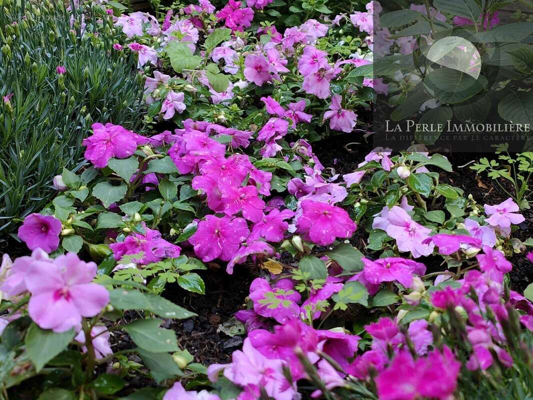 Maison à BRUGUIERES