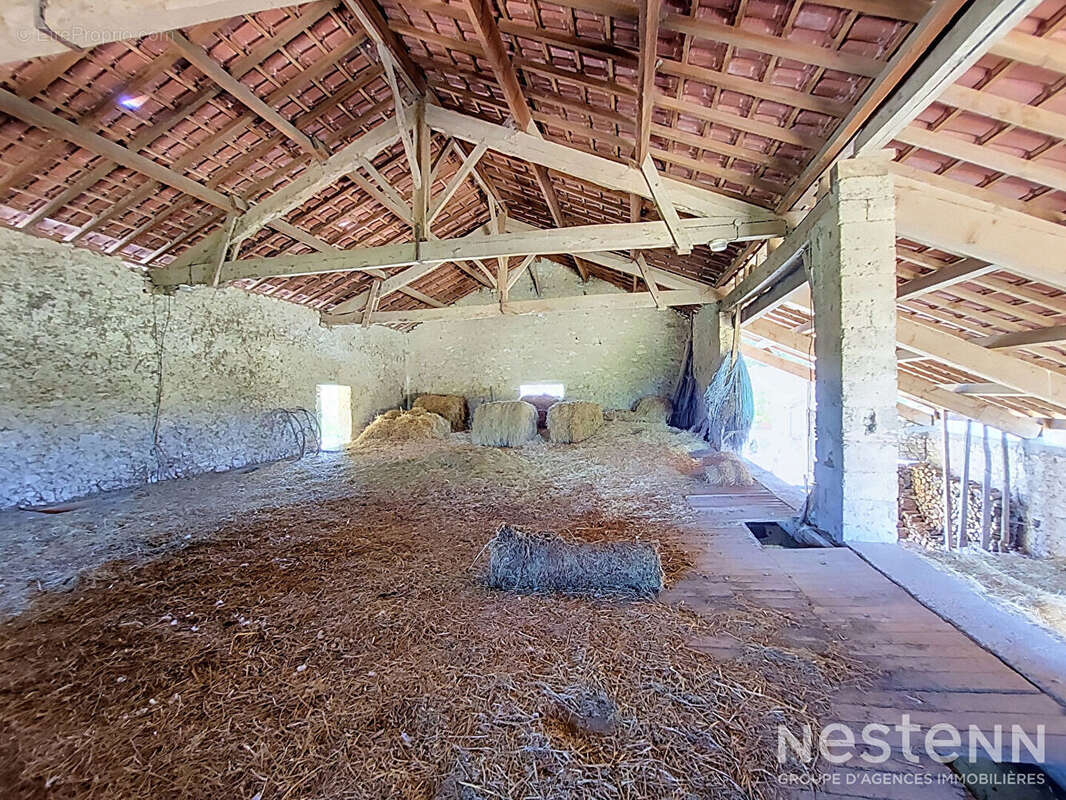 A Vendre Propriété avec Maisons d'habitation, dépendances sur plus d'un hectare à Saint-Mezard - photo 15