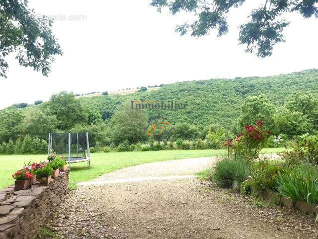 Propriété de caractère avec deux maisons d'habitations, une maison à rénover, dépendances et terrain de 7123 m - photo 23