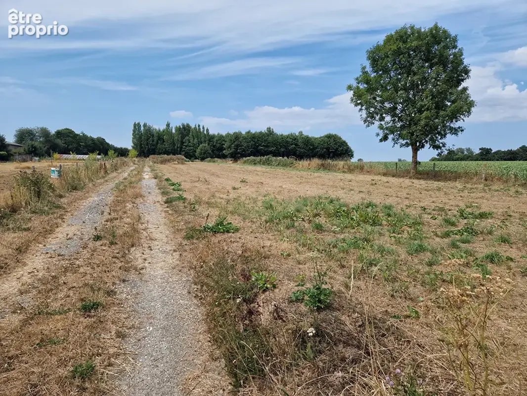 Photo Terrain à Gruchet-Le-Valasse au prix de 150 000€