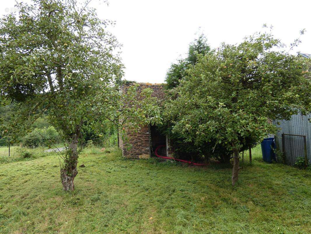 Maison à SAINT-OMER