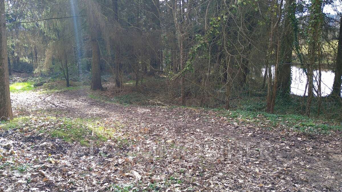 Terrain à LOUPFOUGERES