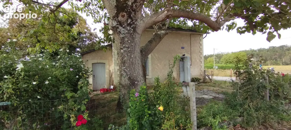 Le grand pressigny - photo 10