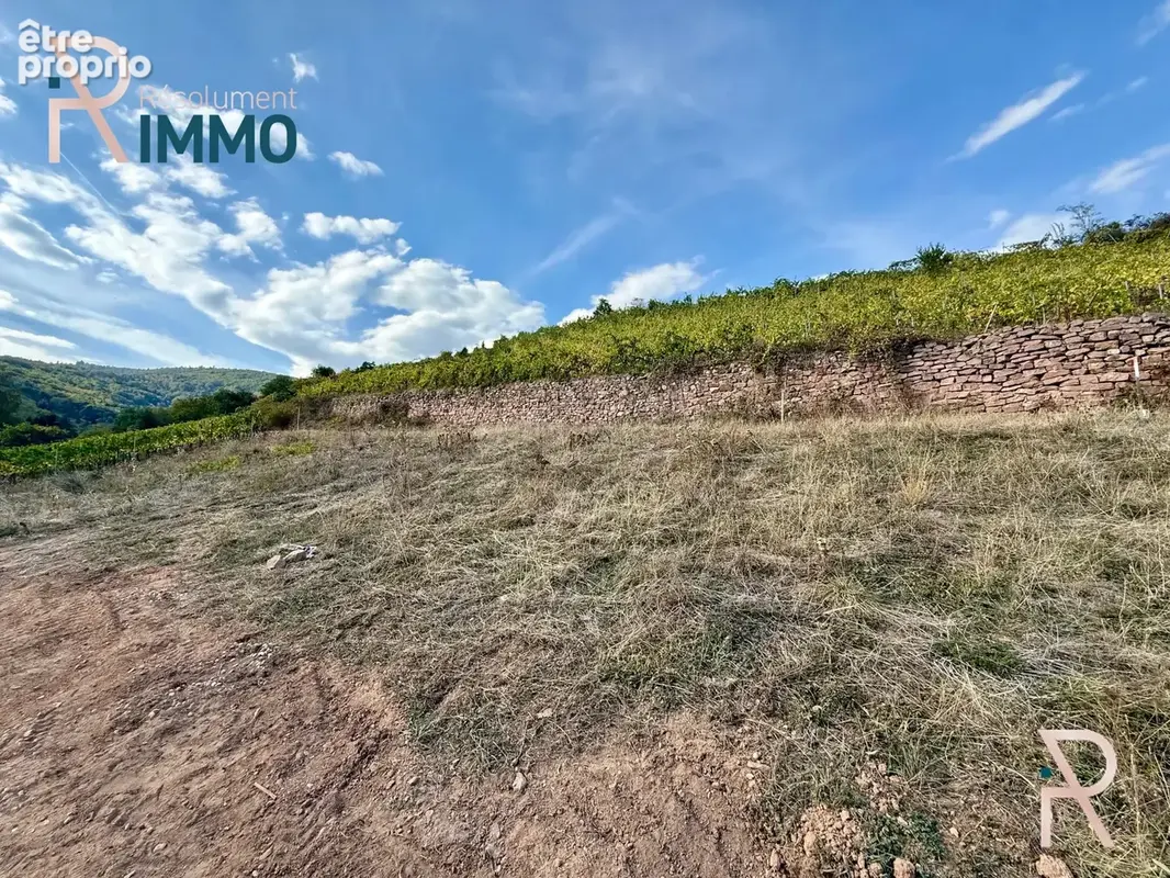 Photo Terrain à Katzenthal au prix de 179 000€