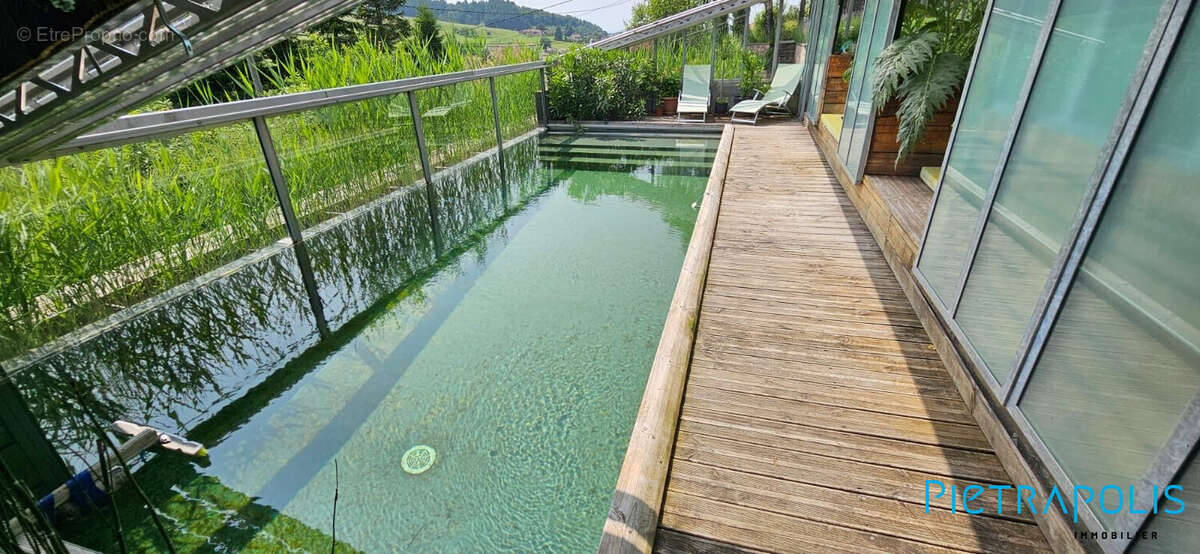 Maison à AMPLEPUIS