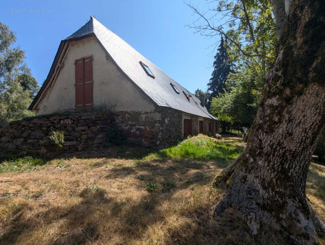 Authentique grange en pierres   Val d'Azun   Environ 150 m2 sur 4 000 m2 de terrain - photo 24