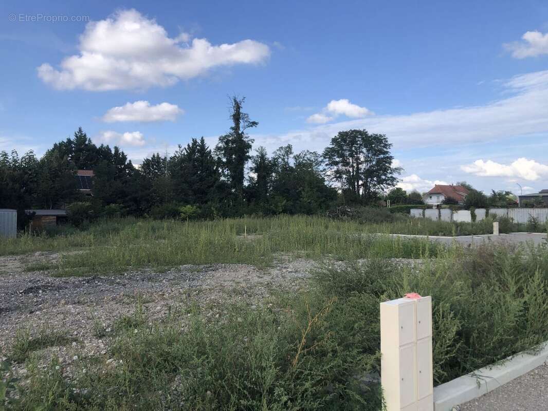 Terrain à ALGOLSHEIM