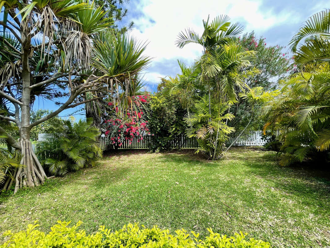 Maison à SAINT-LOUIS