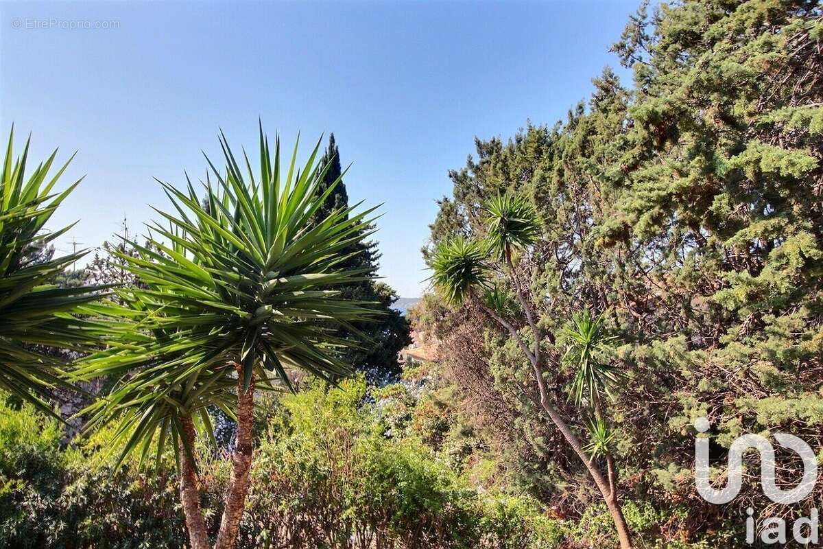 Photo 9 - Appartement à SANARY-SUR-MER