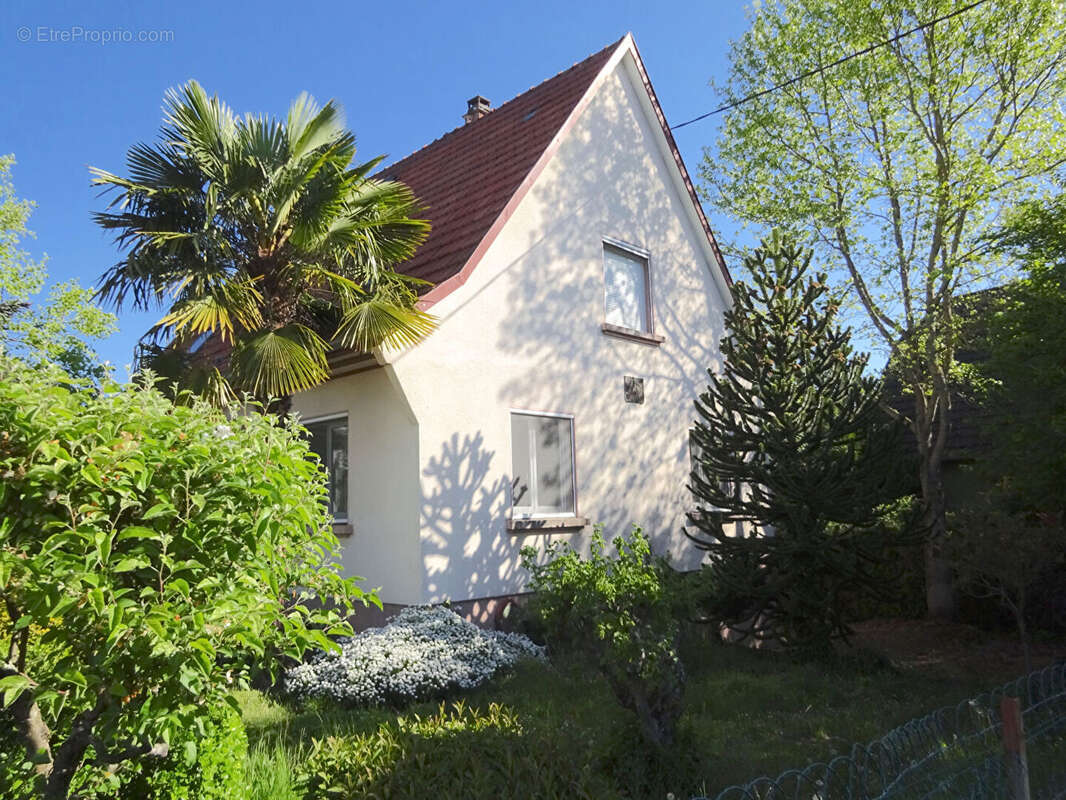 Maison à RIEDISHEIM