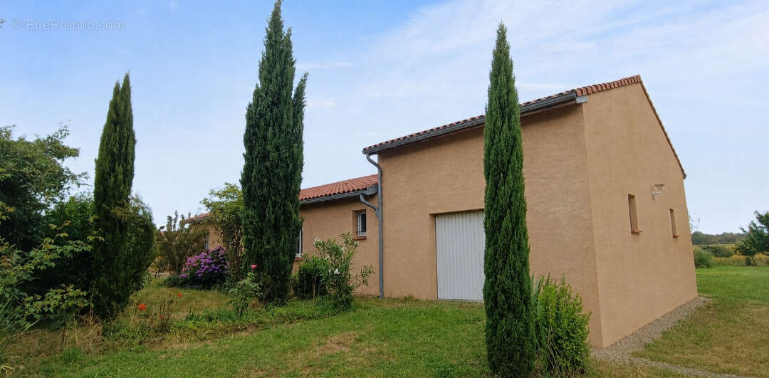Maison à MONTESQUIEU-VOLVESTRE