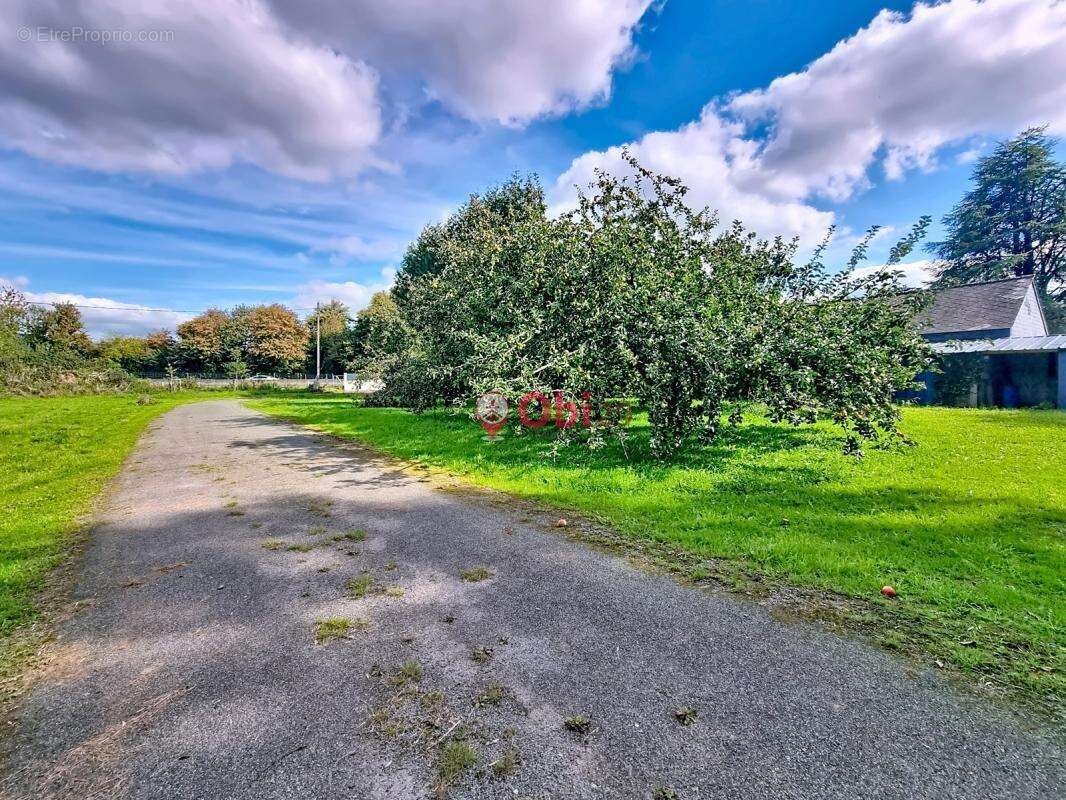 Maison à CHATEAUNEUF-DU-FAOU