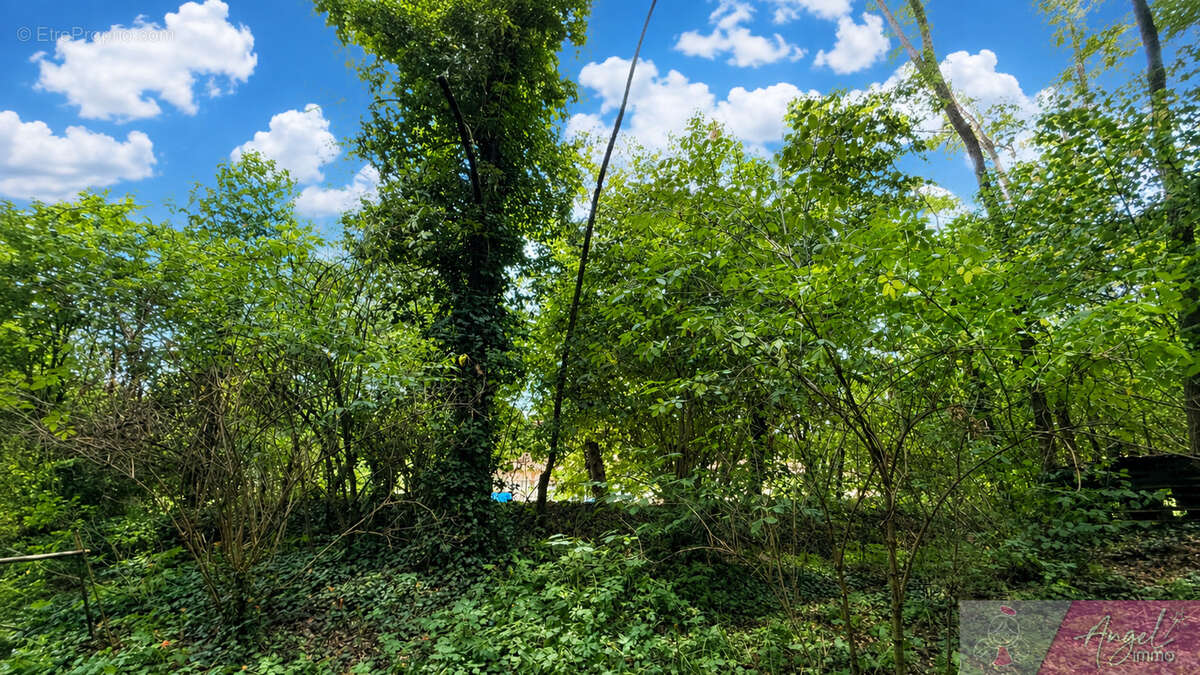 Maison en pierre à Souvans, bois privatif - photo 17