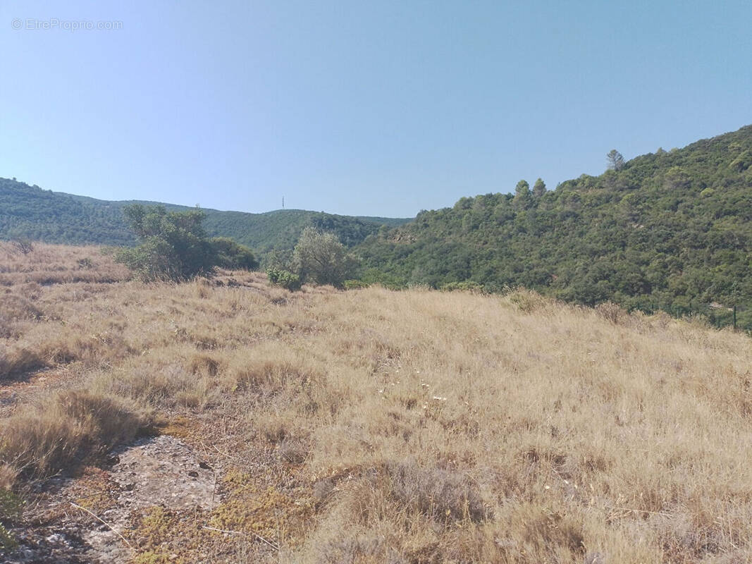 Terrain à SAINT-MARTIN-DES-PUITS