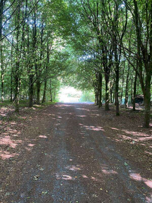 Domaine forestier&etangs - photo 8