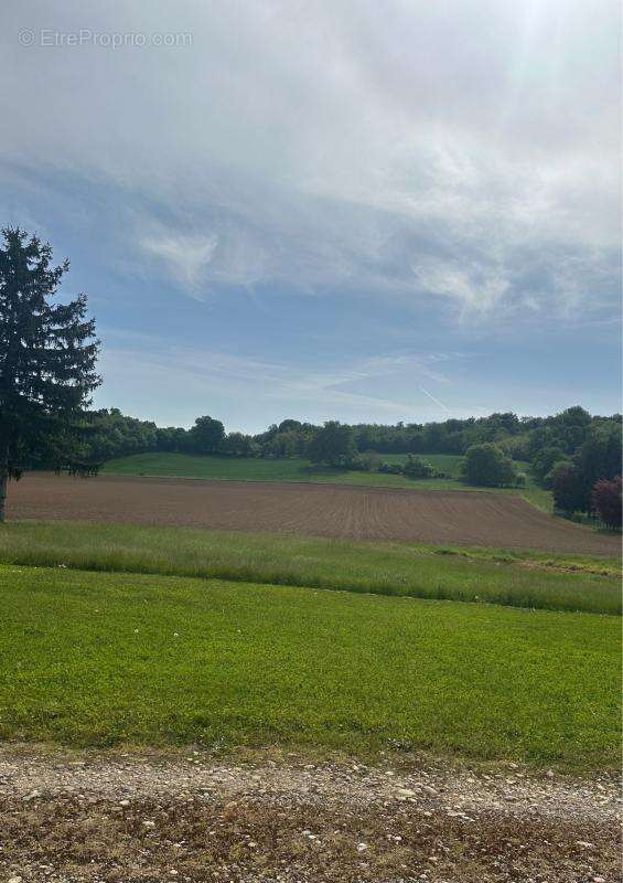 CHAMAGNIEU – Terrain à bâtir libre de constructeur  1 146 m² viabilisé - photo 2